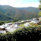 DSCN8338