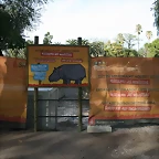 Zoo de Barcelona 27-11-2010 068