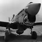 P-40_Warhawk