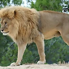 Sigean 02-08-11 1255