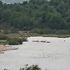 Sigean 02-08-11 1016
