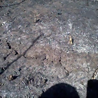 Foto0016