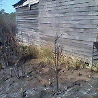 Foto0017