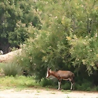Sigean 02-08-11 327