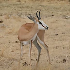 Sigean 02-08-11 224