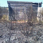 Foto0018