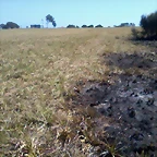 Foto0020