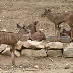 Sigean 02-08-11 784