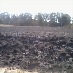 Foto0021