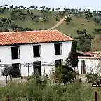 20, cortijo, marca