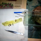 IMG_2930 (3)