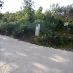 DSCN4435