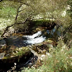 DSCN8390