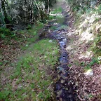 DSCN2095