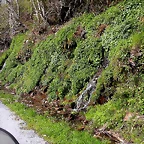 DSCN9066