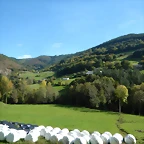 DSCN8648