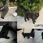 Lupita