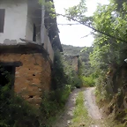 DSCN6136