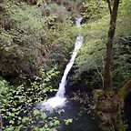 DSCN0717
