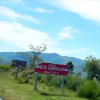 DSCN8148