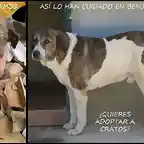 Cratos  antes y despues