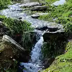 22, arroyo cristalino3, marca