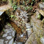 DSCN4063