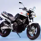 honda_hornet_250