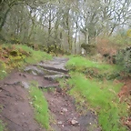DSCN4192