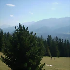 P8230382