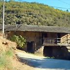 DSCN8909
