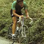 Maertens-Tour-Maillot Verde