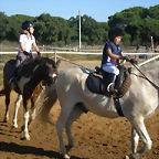 SARDINADA 029