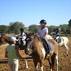 SARDINADA 026