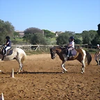 SARDINADA 028