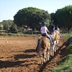 SARDINADA 030