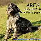 ARES Asturias