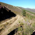 DSCN3880
