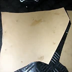DSCN3992