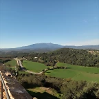 y15