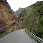 DSCN6556
