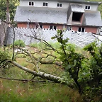 DSCN4750