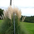 DSCN5830