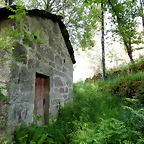 DSCN2454