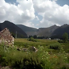 DSCN3537