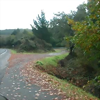 DSCN5724