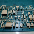 DSCN5833