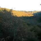 DSCN6674