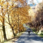 DSCN9509