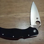 Spyderco Caly 3.5